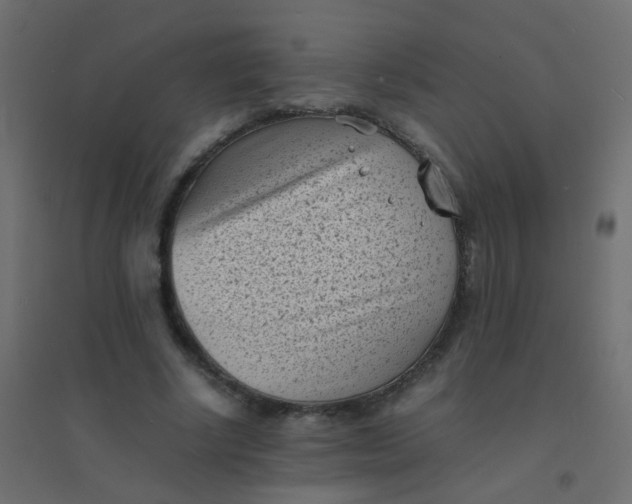 X0000094910634200712131453