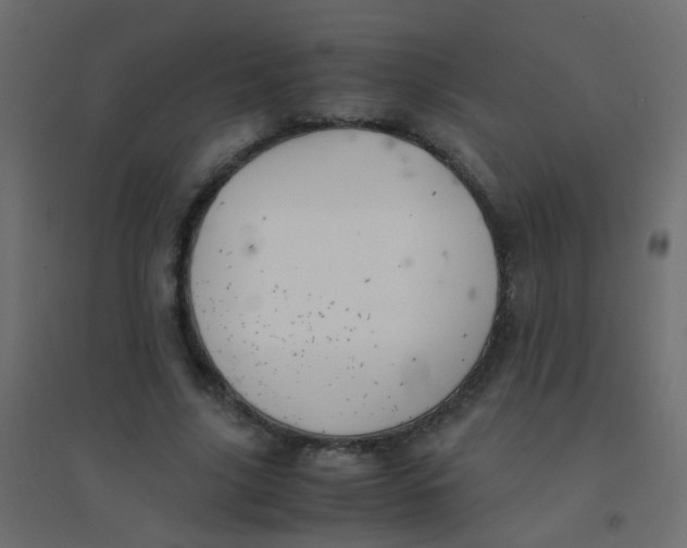 X0000094910635200712131453