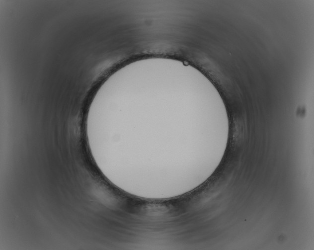 X0000094910636200712131453