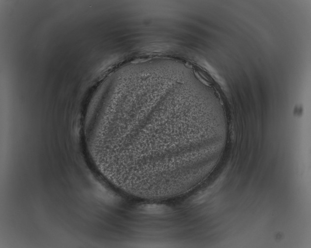 X0000094910637200712131453