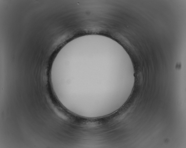 X0000094910638200712131453