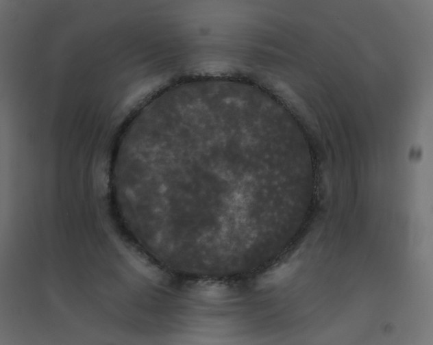 X0000094910640200712131453