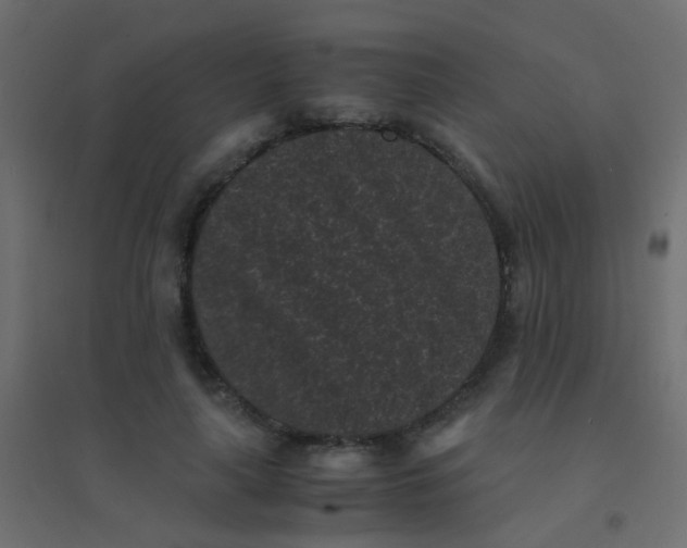 X0000094910643200712131454