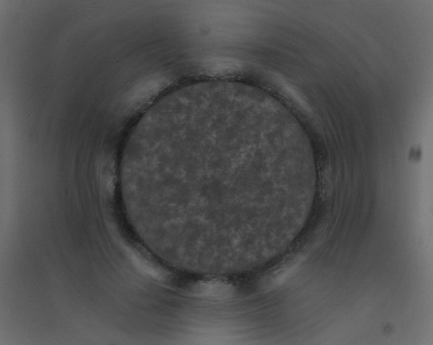 X0000094910644200712131454