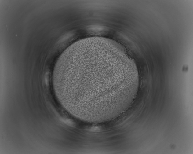 X0000094910647200712131454