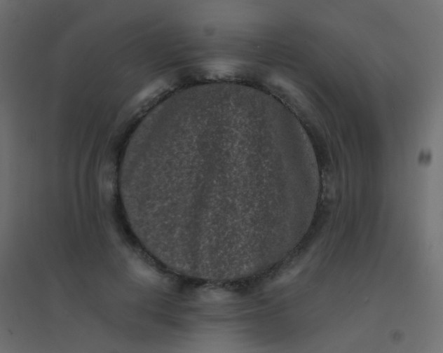 X0000094910648200712131454
