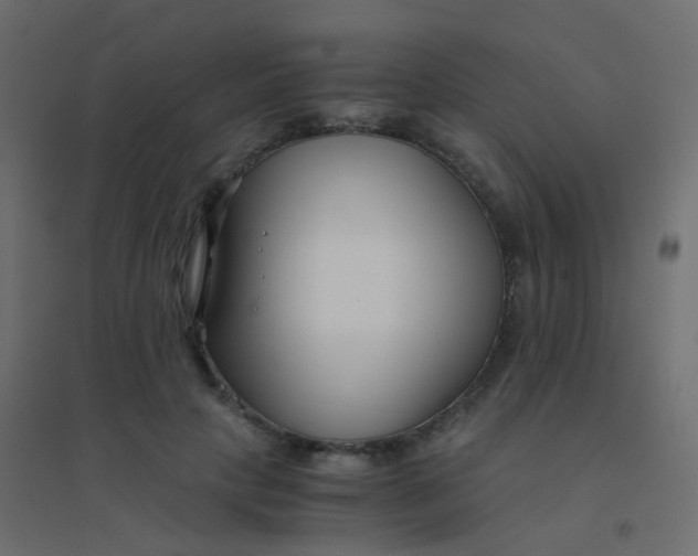 X0000094910649200712131454