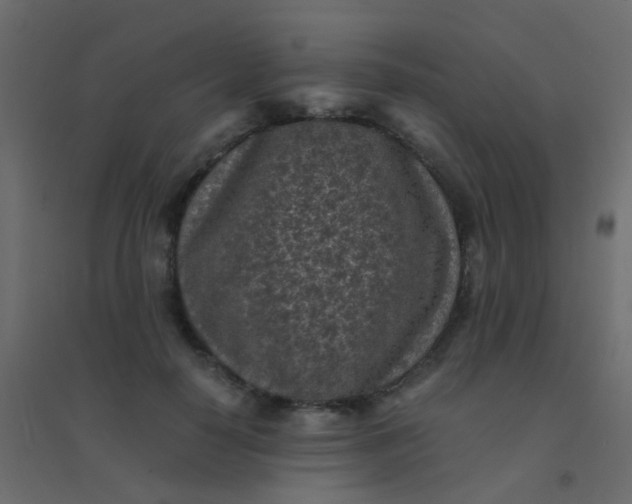 X0000094910650200712131454