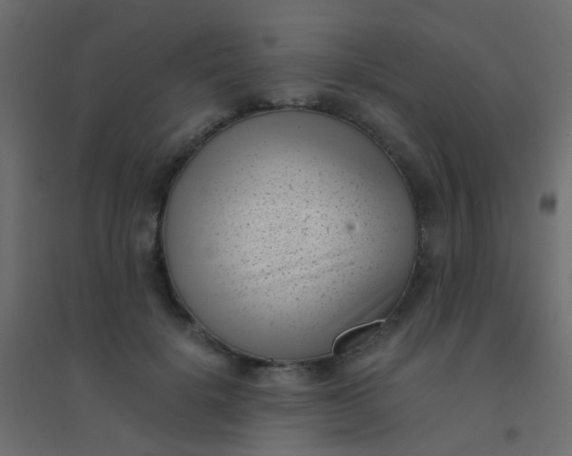 X0000094910652200712131454