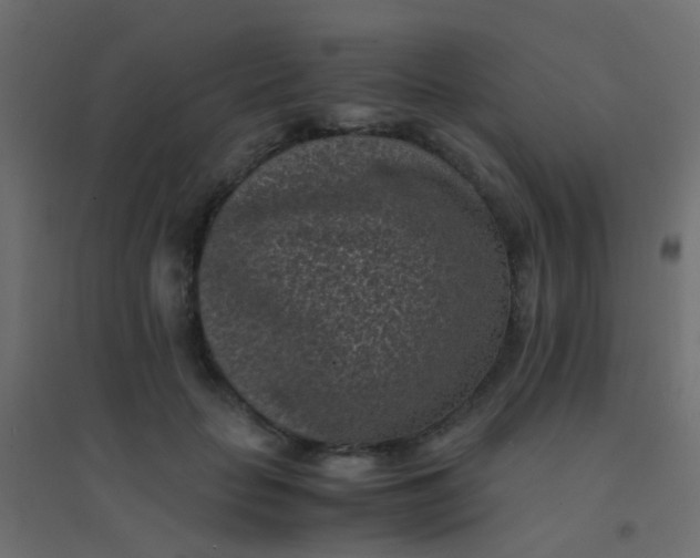 X0000094910653200712131454