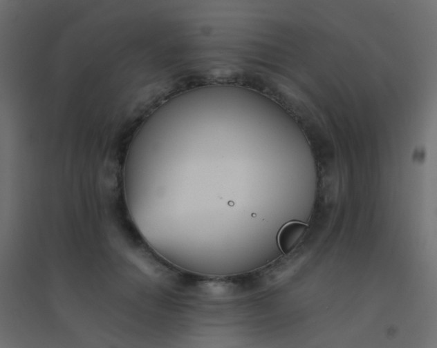 X0000094910654200712131454