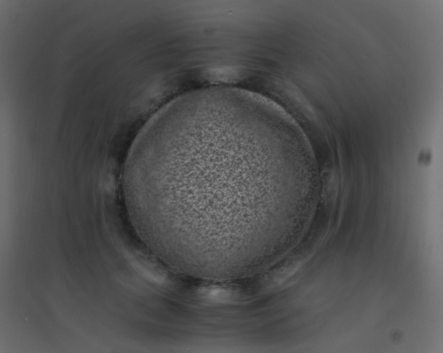 X0000094910655200712131454