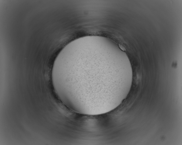 X0000094910658200712131454