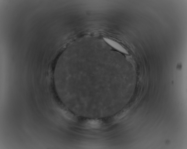 X0000094910659200712131454