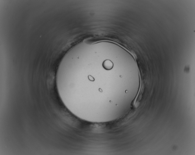 X0000094910660200712131454