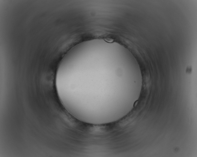 X0000094910664200712131454