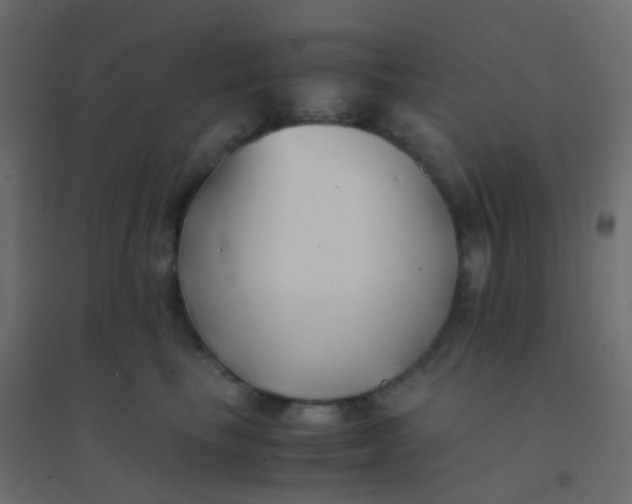 X0000094910665200712131454
