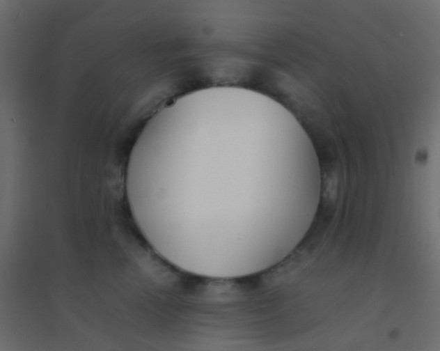 X0000094910666200712131454