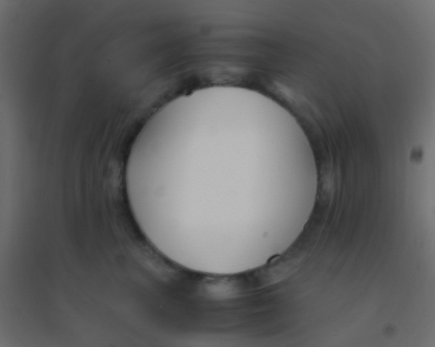 X0000094910667200712131454