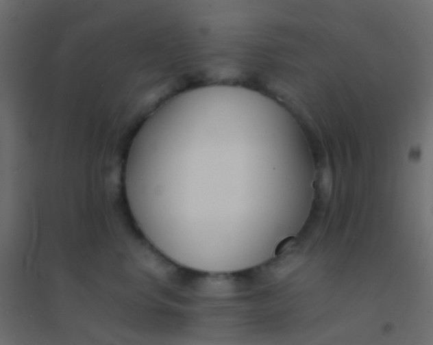 X0000094910668200712131454