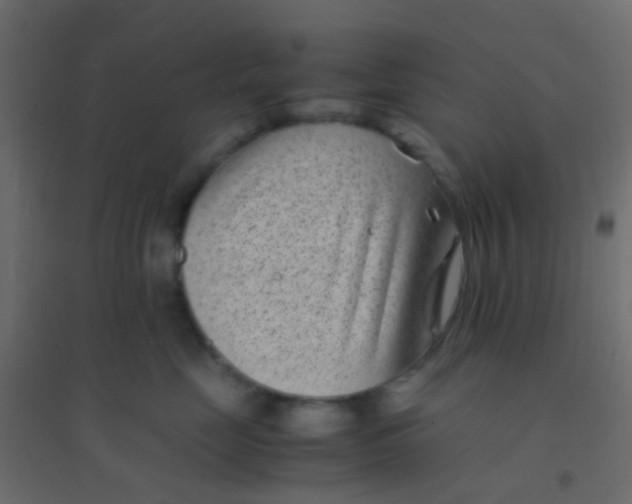 X0000094910669200712131454