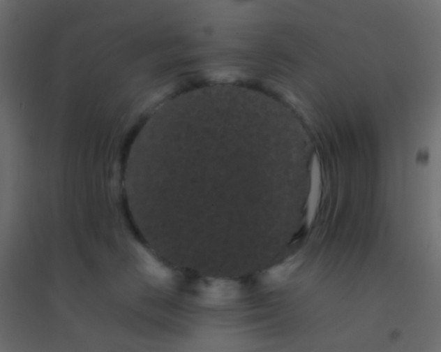 X0000094910670200712131454