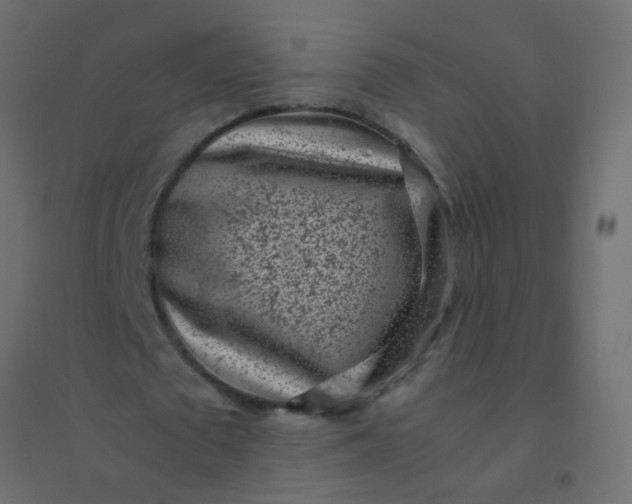 X0000094910673200712131453