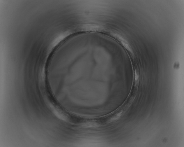 X0000094910674200712131453