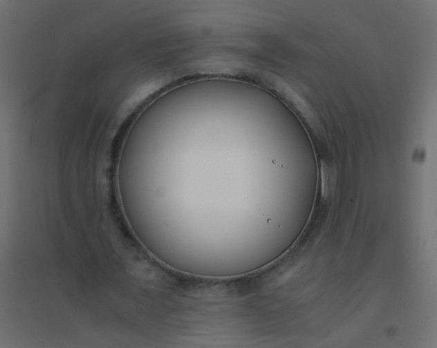 X0000094910675200712131453