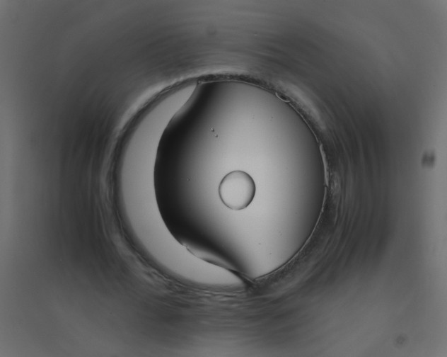 X0000094910676200712131453