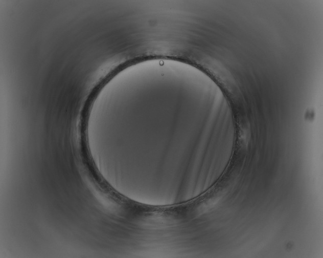 X0000094910678200712131453