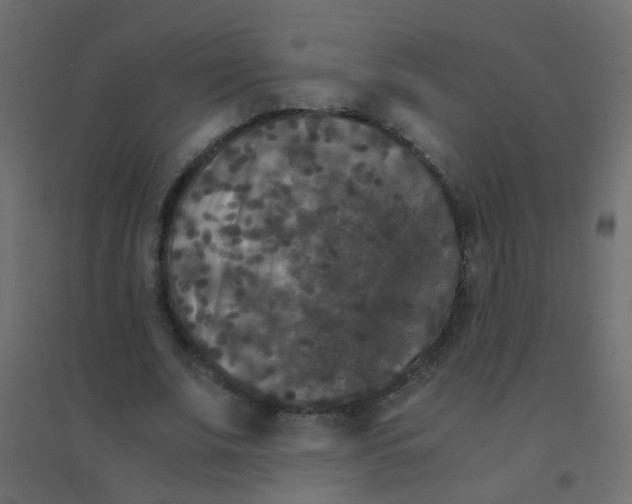 X0000094910679200712131453