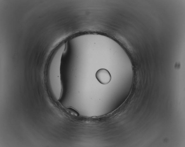 X0000094910680200712131453