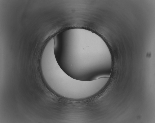 X0000094910681200712131453