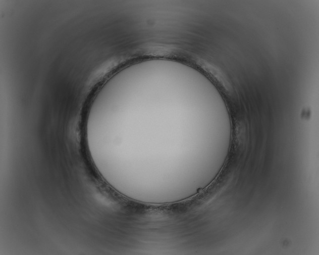 X0000094910682200712131453