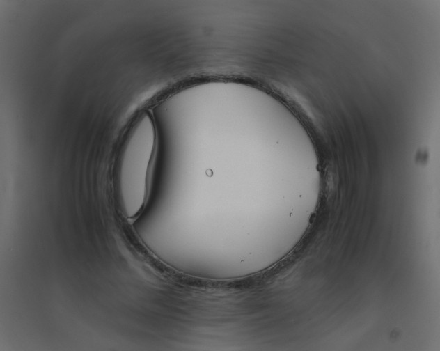 X0000094910684200712131453