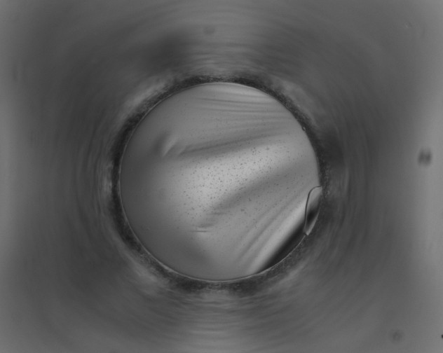 X0000094910685200712131453