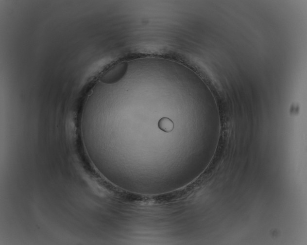 X0000094910688200712131453