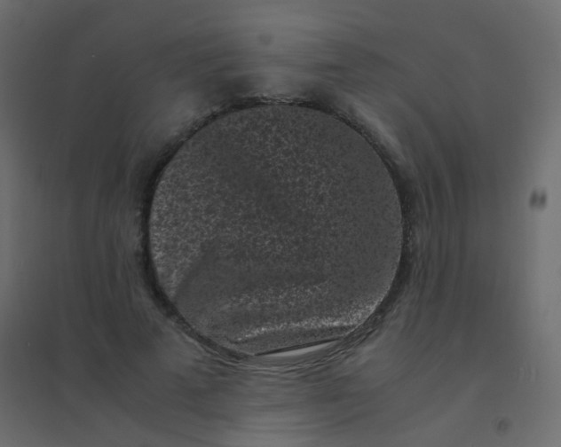 X0000094910689200712131453
