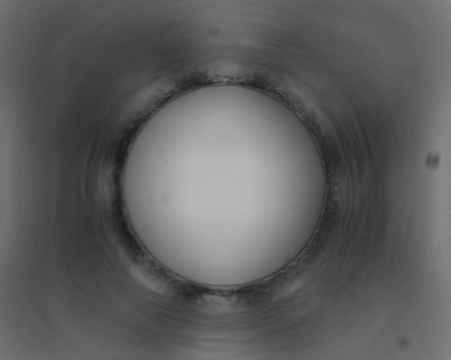 X0000094910690200712131453