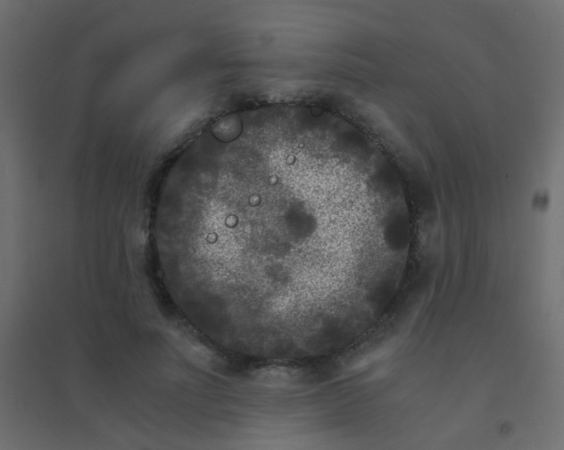 X0000094910691200712131453