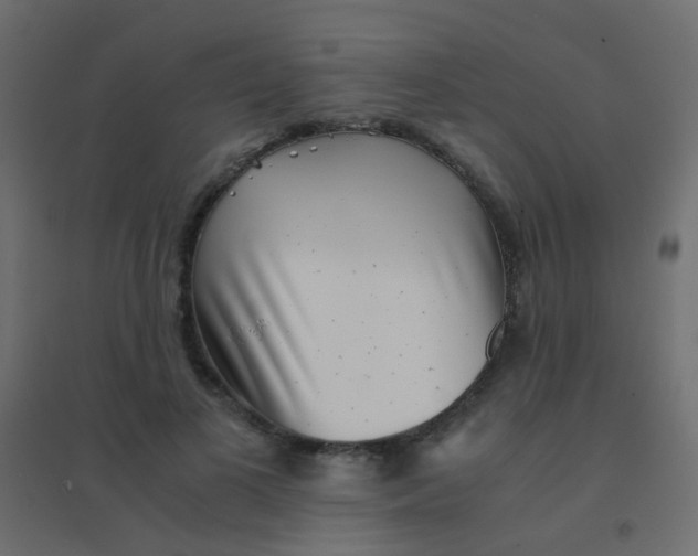 X0000094910693200712131453