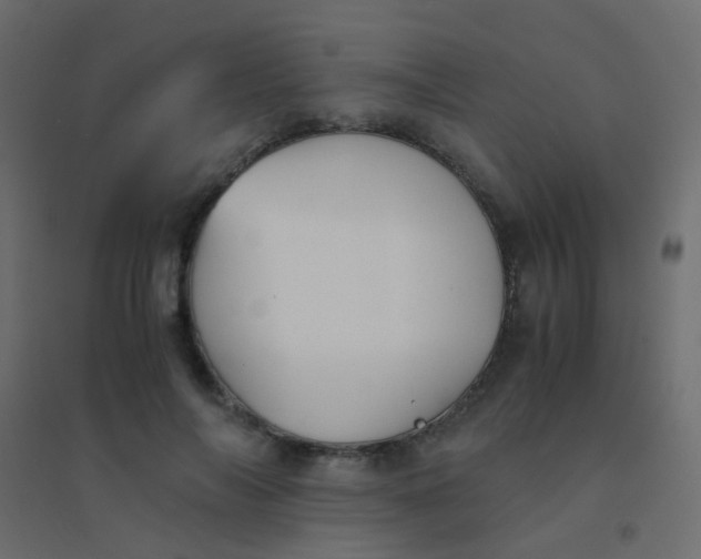 X0000094910694200712131453