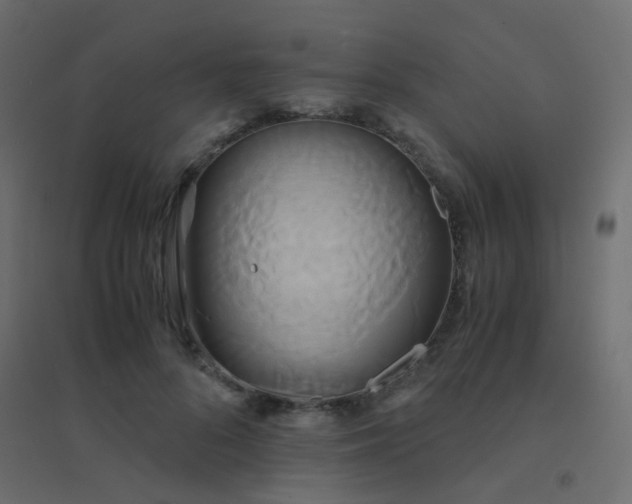 X0000094910696200712131453