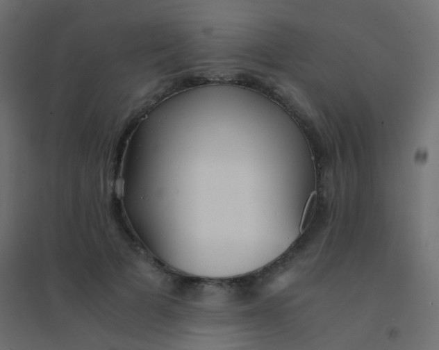 X0000094910697200712131453