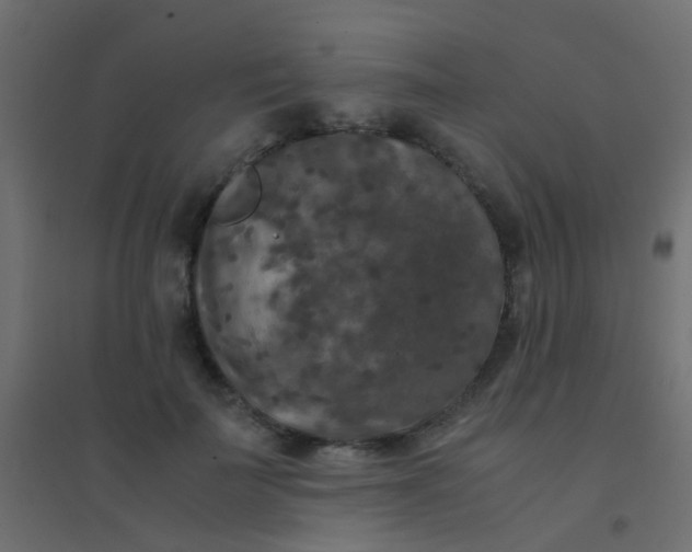 X0000094910699200712131453