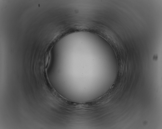 X0000094910700200712131453