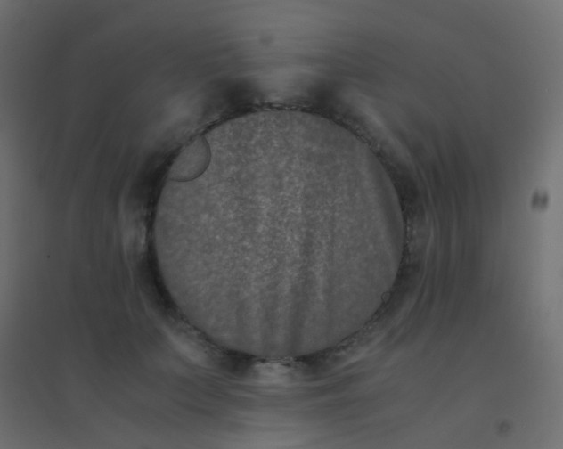 X0000094910703200712131453