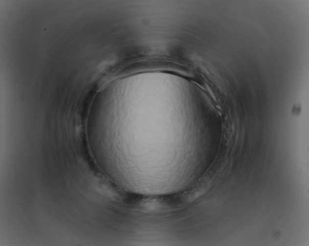 X0000094910704200712131453