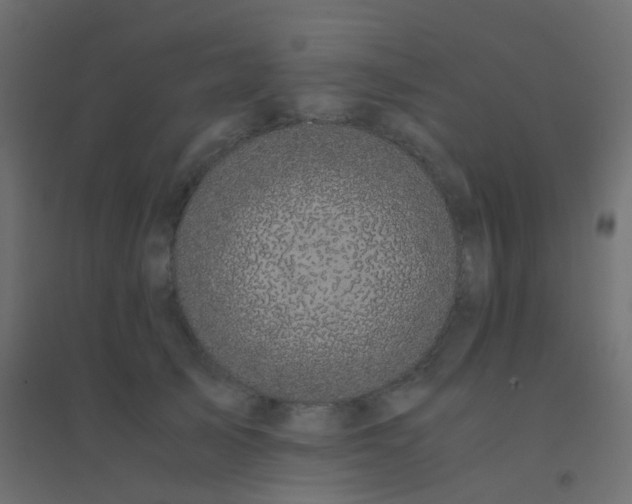 X0000094910705200712131453